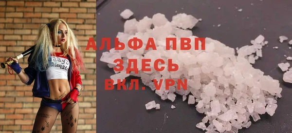 СК Нефтекумск