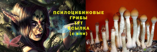 ешки Новодвинск