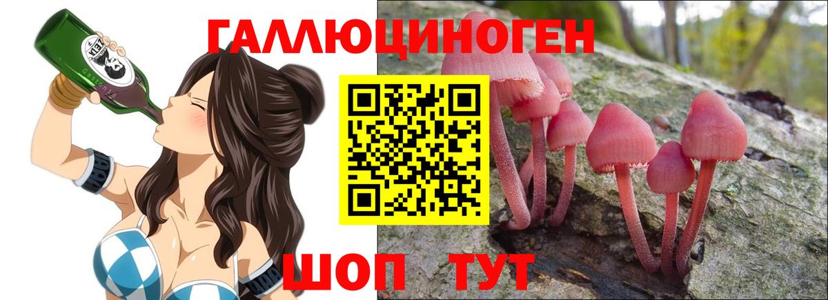 Галлюциногенные грибы мицелий  Вход с VPN  Псилоцибиновые грибы Psilocybine cubensis  Губкинский 