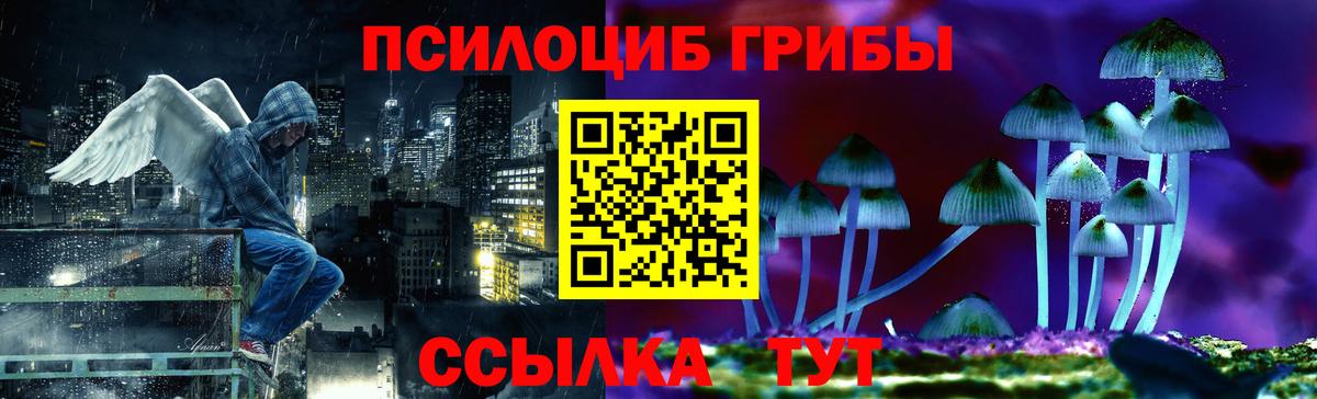 Псилоцибиновые грибы мицелий  наркотики  Галлюциногенные грибы MAGIC MUSHROOMS  Губкинский 